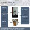 Slide11
